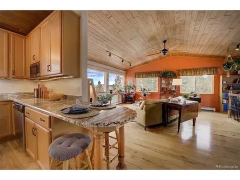 220 Iris Dr, Bailey, CO 80421 photo 7