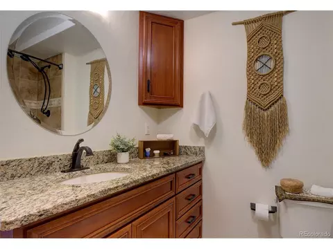 220 Iris Dr, Bailey, CO 80421 photo 16