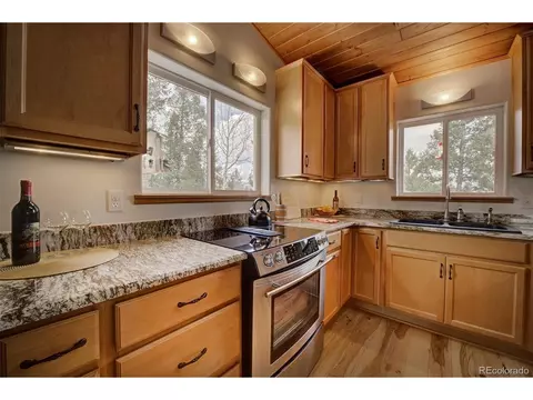 220 Iris Dr, Bailey, CO 80421 photo 5