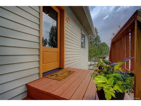 220 Iris Dr, Bailey, CO 80421 photo 3