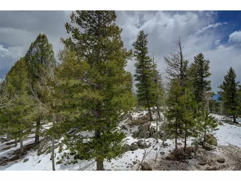 220 Iris Dr, Bailey, CO 80421 photo 32