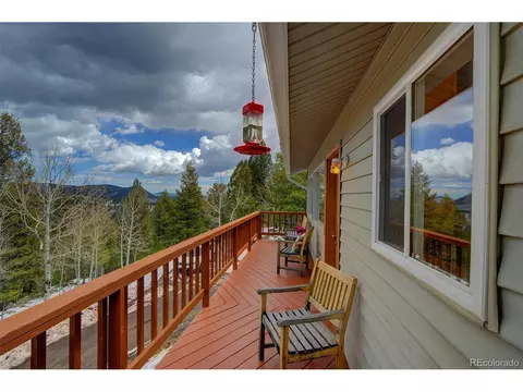 220 Iris Dr, Bailey, CO 80421 photo 28