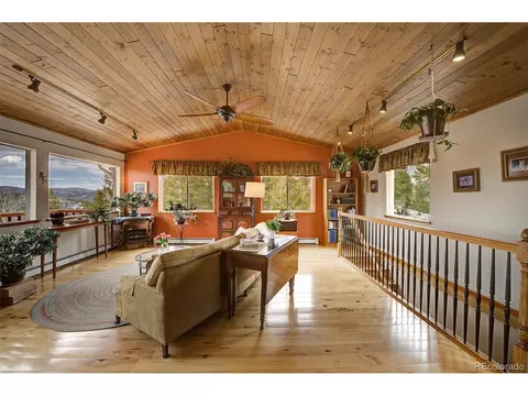 220 Iris Dr, Bailey, CO 80421 photo 10