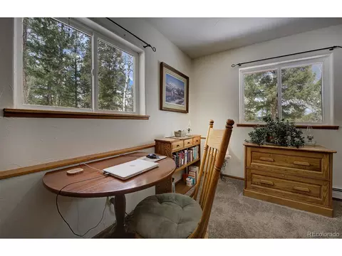 220 Iris Dr, Bailey, CO 80421 photo 24