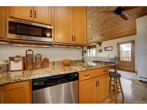 220 Iris Dr, Bailey, CO 80421 photo 4