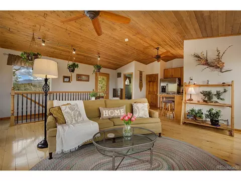 220 Iris Dr, Bailey, CO 80421 photo 11