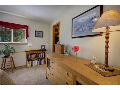220 Iris Dr, Bailey, CO 80421 photo 20