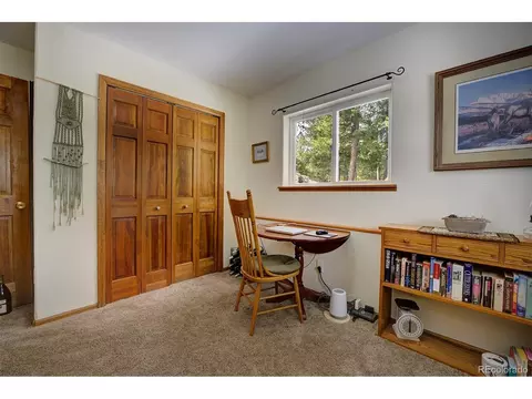 220 Iris Dr, Bailey, CO 80421 photo 23