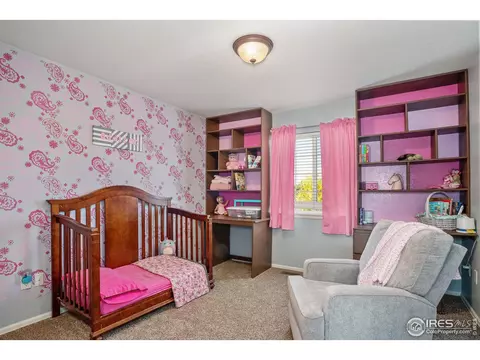 633 Scotch Pine Dr, Severance, CO 80550 photo 14