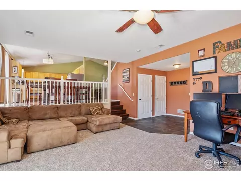 633 Scotch Pine Dr, Severance, CO 80550 photo 10