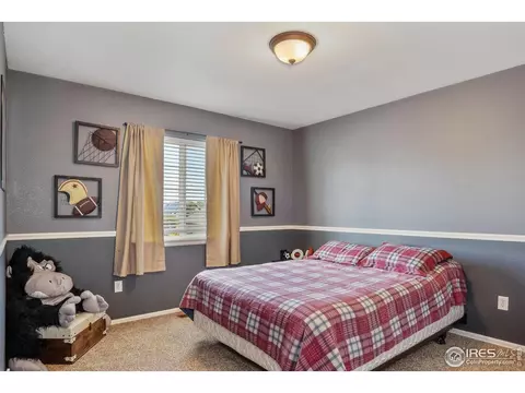 633 Scotch Pine Dr, Severance, CO 80550 photo 16