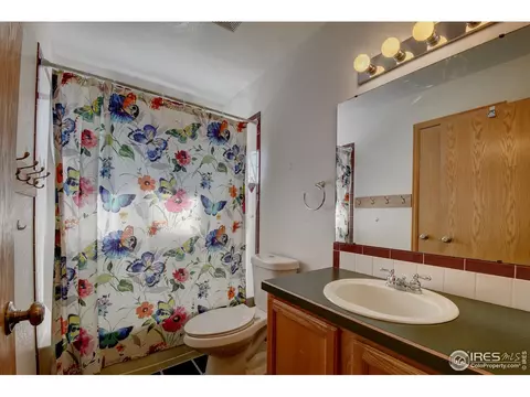 138 Eagle Ave, Mead, CO 80542 photo 24