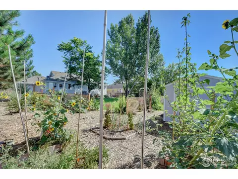 138 Eagle Ave, Mead, CO 80542 photo 39