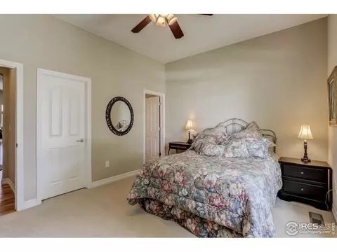 8684 E 148th Cir, Thornton, CO 80602 photo 23