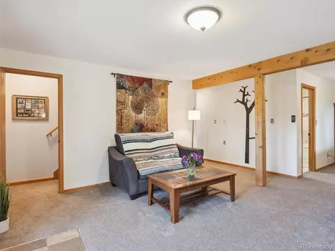 179 Juniper Ln, Bailey, CO 80421 photo 23
