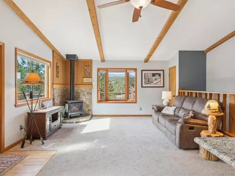 179 Juniper Ln, Bailey, CO 80421 photo 12