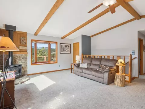 179 Juniper Ln, Bailey, CO 80421 photo 11