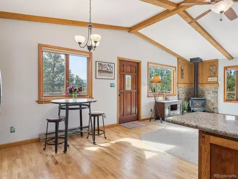 179 Juniper Ln, Bailey, CO 80421 photo 20