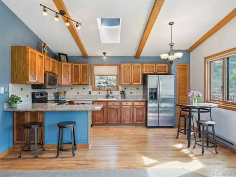 179 Juniper Ln, Bailey, CO 80421 photo 10