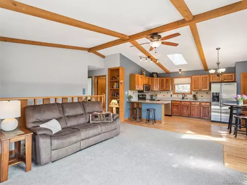 179 Juniper Ln, Bailey, CO 80421 photo 28
