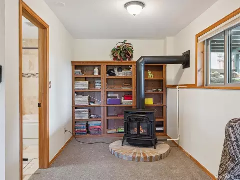 179 Juniper Ln, Bailey, CO 80421 photo 30