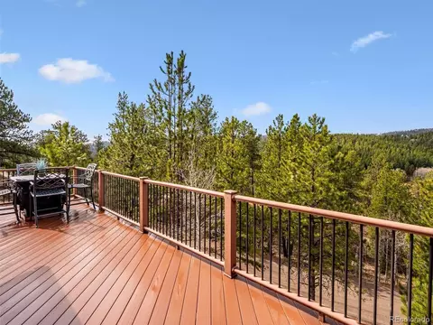 179 Juniper Ln, Bailey, CO 80421 photo 41