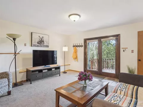 179 Juniper Ln, Bailey, CO 80421 photo 19