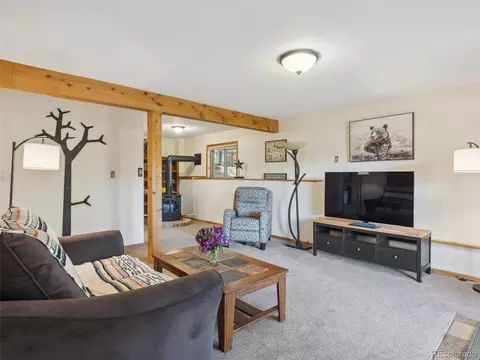 179 Juniper Ln, Bailey, CO 80421 photo 22