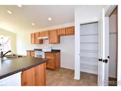 2145 Crop Row Dr, Windsor, CO 80550 photo 12