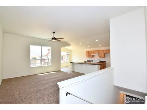 2145 Crop Row Dr, Windsor, CO 80550 photo 3