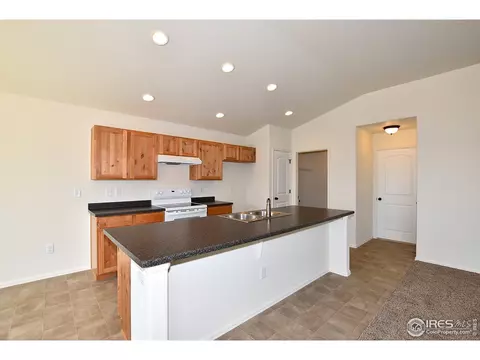 2145 Crop Row Dr, Windsor, CO 80550 photo 9