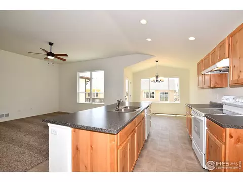 2145 Crop Row Dr, Windsor, CO 80550 photo 16