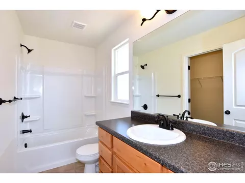2145 Crop Row Dr, Windsor, CO 80550 photo 28