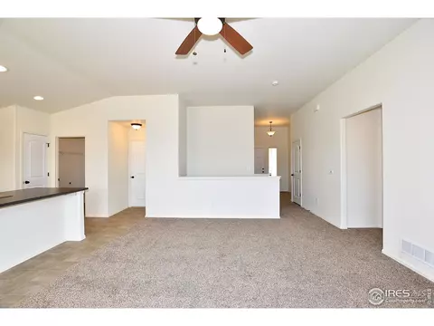 2145 Crop Row Dr, Windsor, CO 80550 photo 4