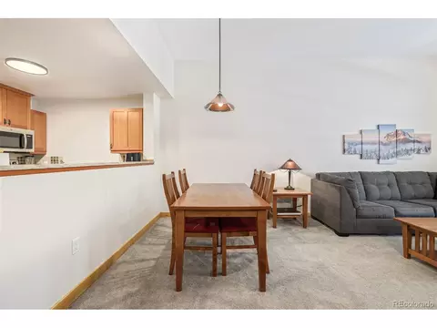 910 Copper Rd #101, Frisco, CO 80443 photo 12