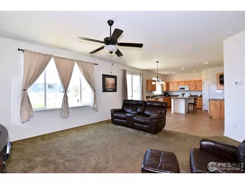 838 Park Edge Cir, Windsor, CO 80550 photo 6