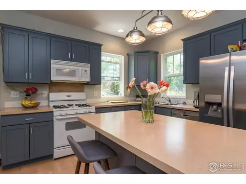 1590 Yaupon Ave, Boulder, CO 80304 photo 11