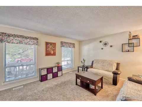 3663 E 133rd Ct, Thornton, CO 80241 photo 3