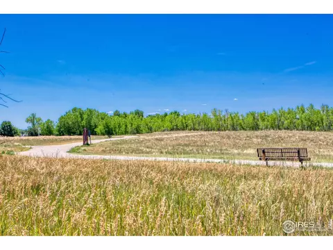 3663 E 133rd Ct, Thornton, CO 80241 photo 24