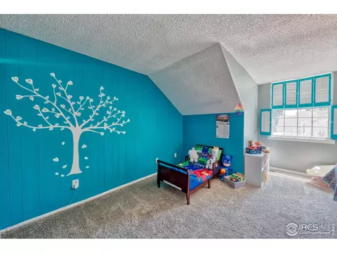 3663 E 133rd Ct, Thornton, CO 80241 photo 14