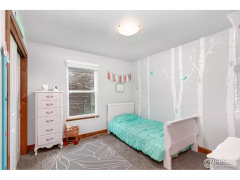 115 E Colorado Ave, Berthoud, CO 80513 photo 20