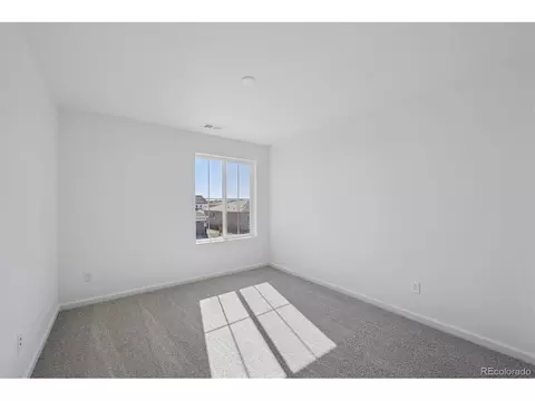 7097 E 126th Pl, Thornton, CO 80602 photo 17