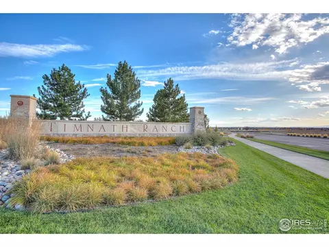 5045 Autumn Leaf Dr, Timnath, CO 80547 photo 33