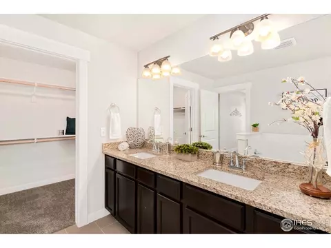 322 Ptarmigan St, Severance, CO 80550 photo 13