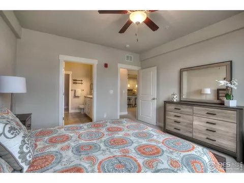 6556 Crystal Downs Dr #101, Windsor, CO 80550 photo 38