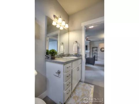 6556 Crystal Downs Dr #101, Windsor, CO 80550 photo 32