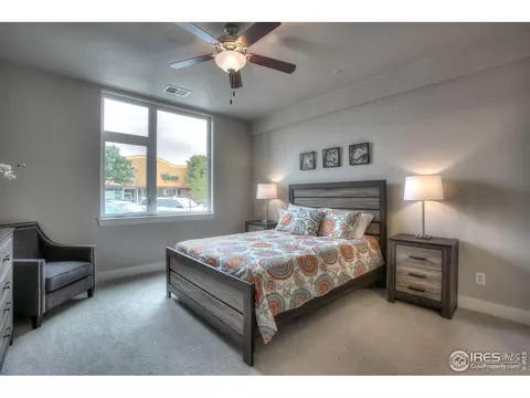 6556 Crystal Downs Dr #101, Windsor, CO 80550 photo 36