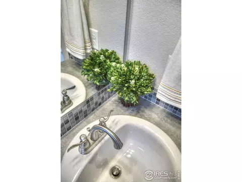 6556 Crystal Downs Dr #101, Windsor, CO 80550 photo 29