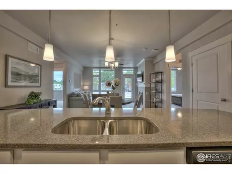 6556 Crystal Downs Dr #101, Windsor, CO 80550 photo 24