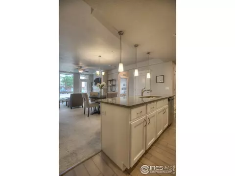 6556 Crystal Downs Dr #101, Windsor, CO 80550 photo 22